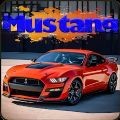 野马GT500漂移模拟器(Mustang GT500)