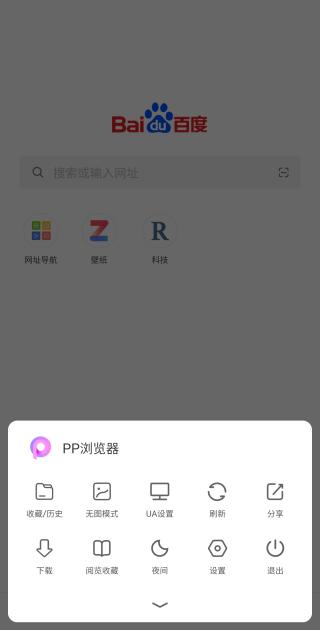 PP浏览器