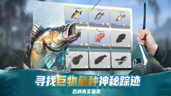 009dd2edf5481477ebce3d89a6104fa49e2338943.jpg