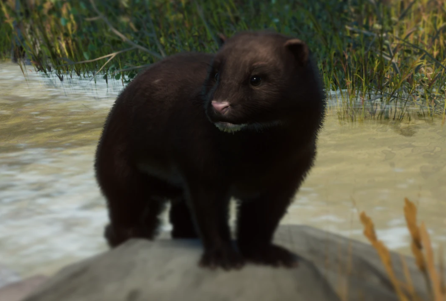 20240603103734125.png 20240603103734125.png