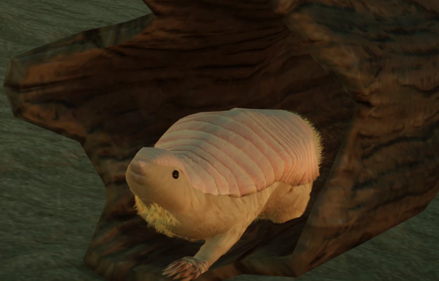 20240603104140868.png 20240603104140868.png