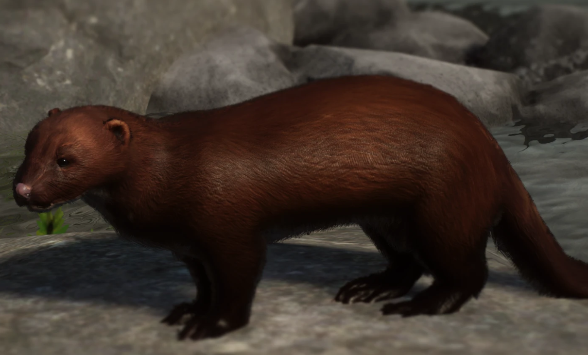 20240603104716111.png 20240603104716111.png