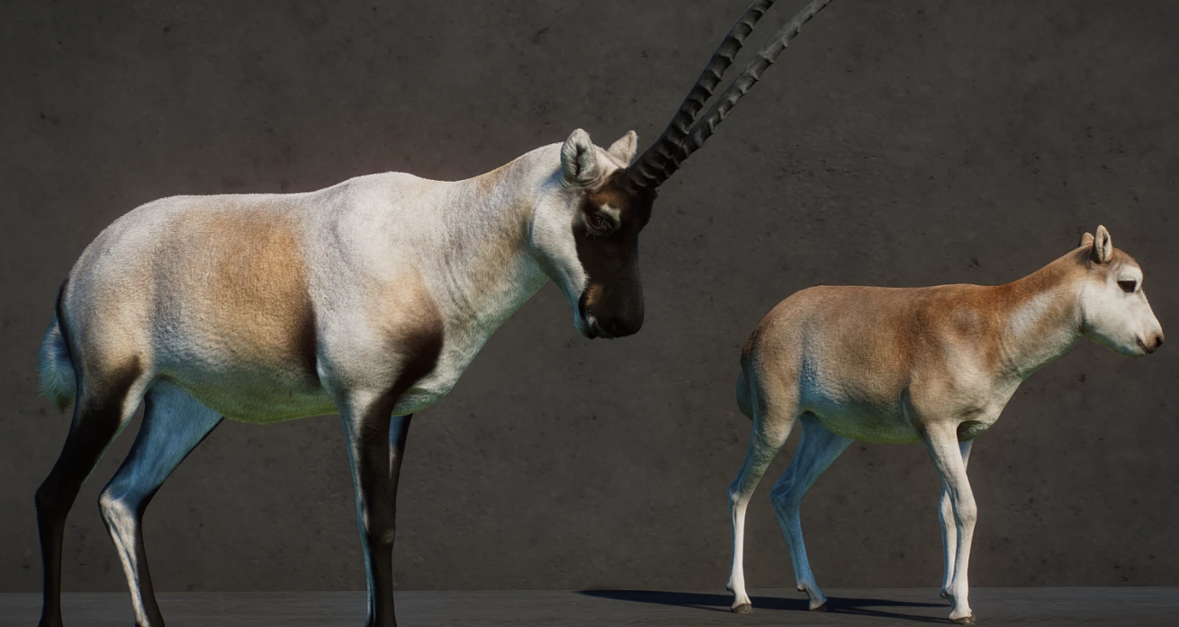 20240603105152120.png 20240603105152120.png