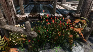 39229-1597068667-680390710.webp.png