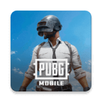 地铁逃生国际服(PUBG MOBILE)