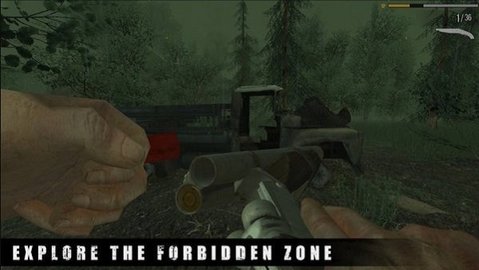 22141536fffy.jpg