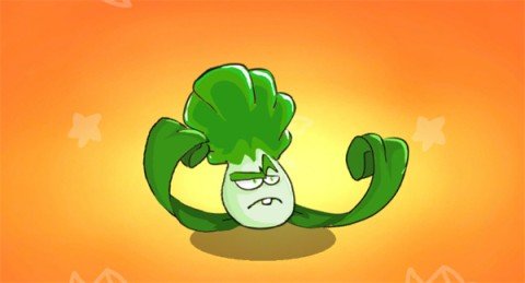 dsagasdfsdagasdfdasg (2).jpg