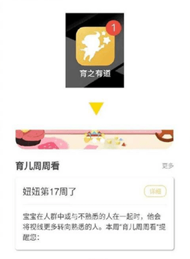 dasgasdfasdgasd (1).png