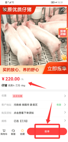 dsagasdfasdg (1).png