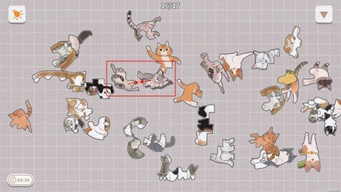 dasgsdgdsagasdg (2).jpg