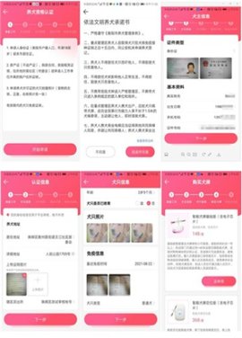 dasgsdagasdg (3).jpg