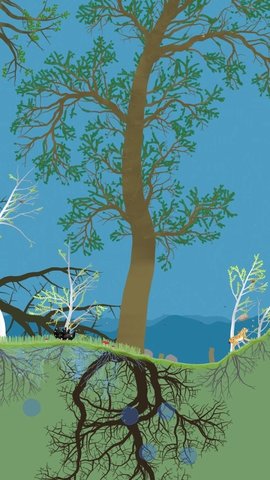 20251113154723941.jpg 13100401bjza.jpg