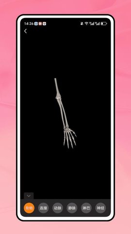 20251117164311581.jpg 659 (1).jpg