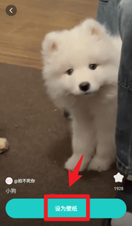 dsagasdgdasgasdg (3).png