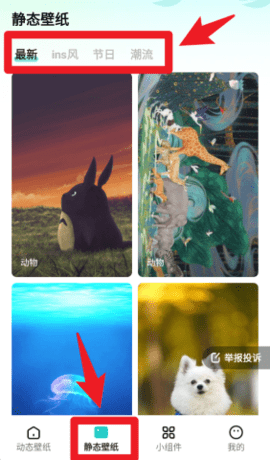 dsagasdgdasgasdg (1).png