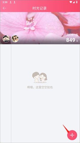 dasgasdfasdgsdag (2).jpg