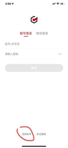 dasgadsfadsgadsg (4).jpg