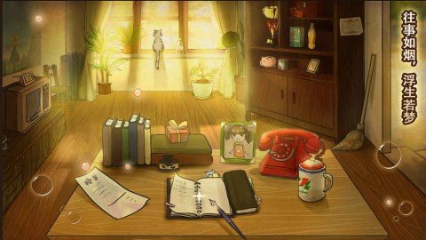 dsagadsfadsgadsg (4).jpg