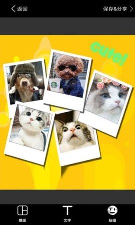 20251201130709475.jpg dasgsadfadsgadsg (3).jpg