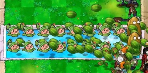 dsafadsgadsfadsg (1).jpg