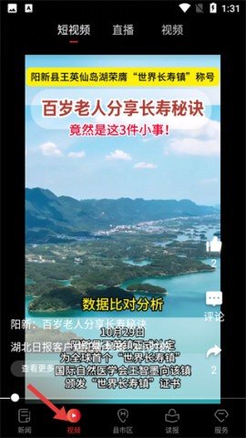 dsagadsfadsgadsg (3).jpg