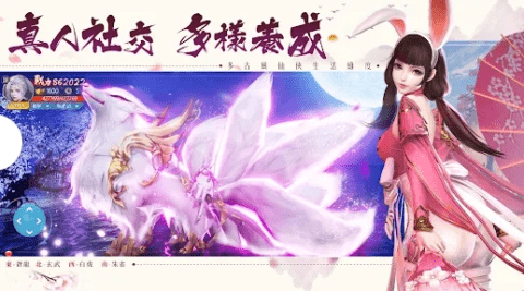 dasgadsadsfadsg (4).png