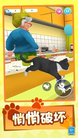 20251204104159326.jpg 3568 (3).jpg