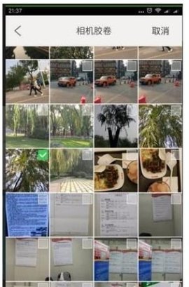 dsagadsfadsgadsgadsg (4).jpg