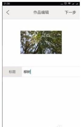 dsagadsfadsgadsgadsg (3).jpg