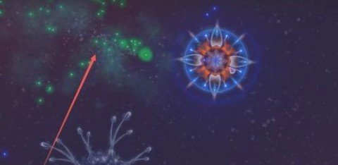 20251211103005301.jpg dsagsadfadsgadsadfsg (3).jpg