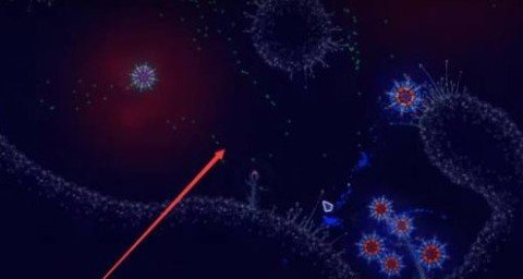 20251211103026976.jpg dsagsadfadsgadsadfsg (1).jpg