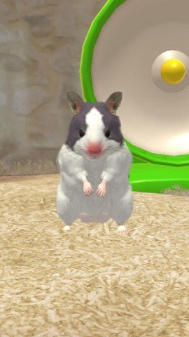 dsagdsagadsg (2).jpg