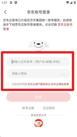 dsagdsasadfadsgadsg (4).jpg