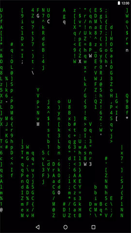 dasgadsgadsgadsg (2).jpg