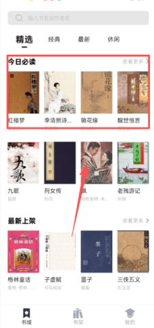 dasgadsgadsadgs (2).png