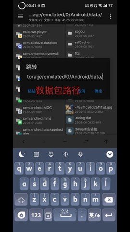 dasgdsagadsagdsg (3).jpg