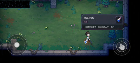 dasgdsagasdgadsdgsg (2).jpg