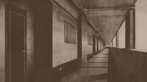 dasgadsgadsgadsdgs (2).jpg