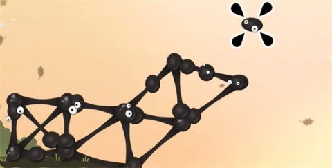 20251225113555326.jpg dsagadsgadsadsg (5).jpg