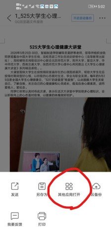 dsagadsgadsadgsgsg (1).jpg