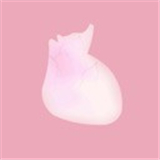 生命(LIFE)
