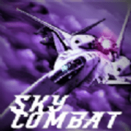 空战空中毁灭(SKY COMBAT)