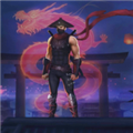 影子忍者(Ninja Samurai Fighting Games)