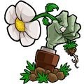 植物大战僵尸∀版支线