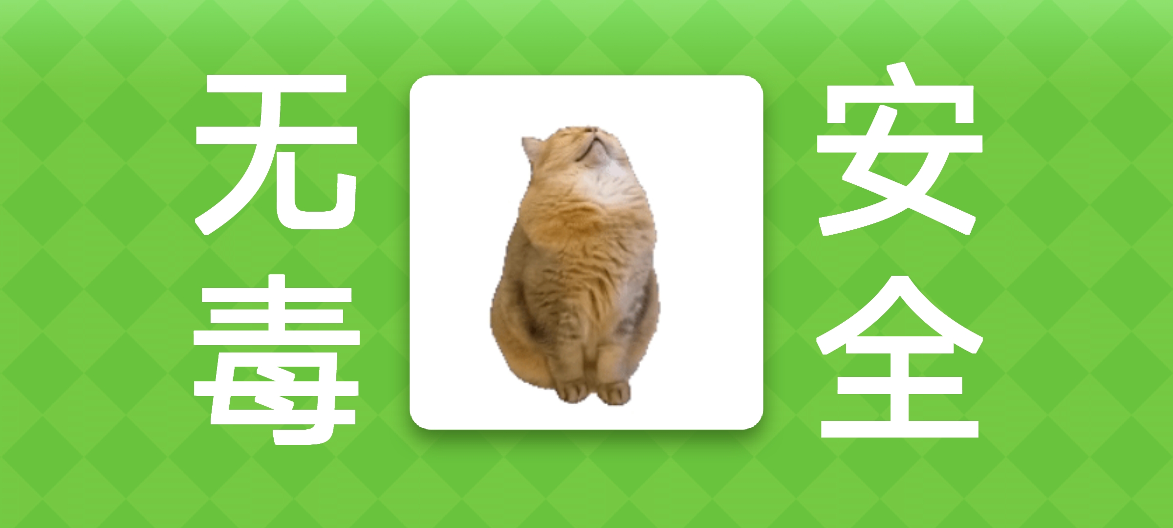 e3a7214f714d73c47cc6c4b7bc5270b5_jietu0c79a6a3353cb66a4b202c9115d1b18720250630rd8BMQ.jpg