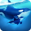 小小水世界(World of Water)