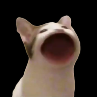 PopCat啵嘴猫(PopCat)