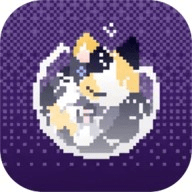 对人类过敏的猫游戏