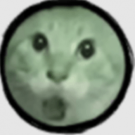 圆头猫大作战