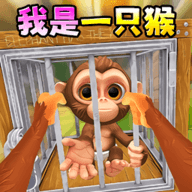 我是猴子